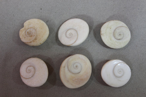 Gomathi Chakra Pack Of 9 200gm